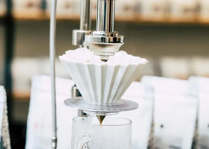 Way Sweet Dreams - 2 * Gent